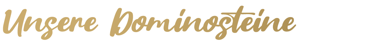 Unsere Dominosteine Unsere Dominosteine